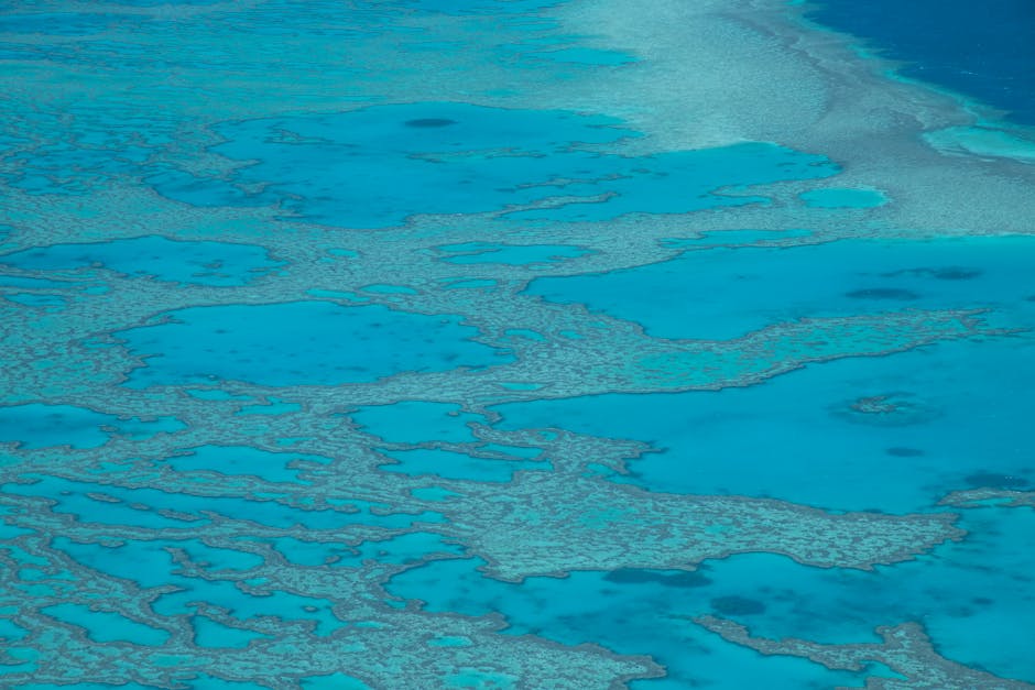 Stunning aerial view of the Great Barrier Reef